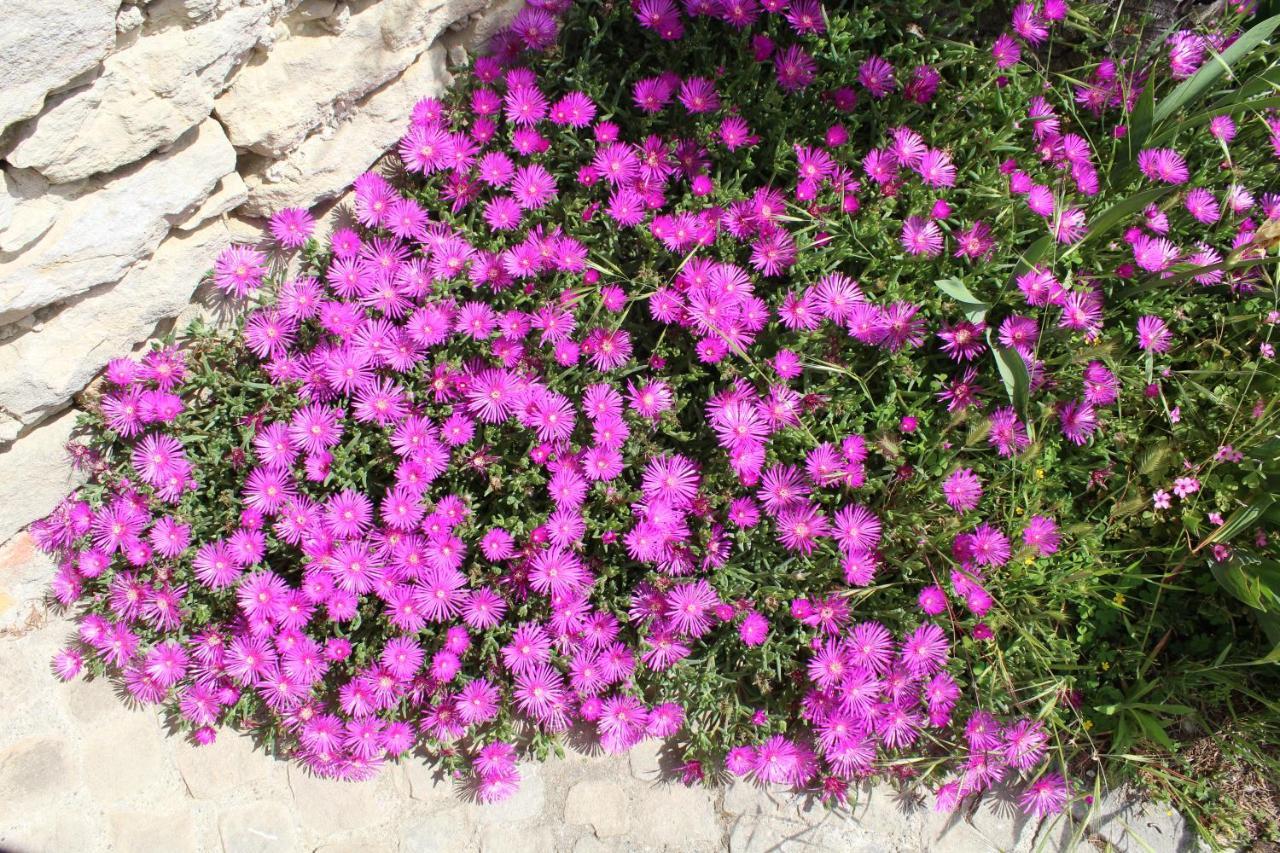 Agriturismo La Rovere Cossano Belbo エクステリア 写真
